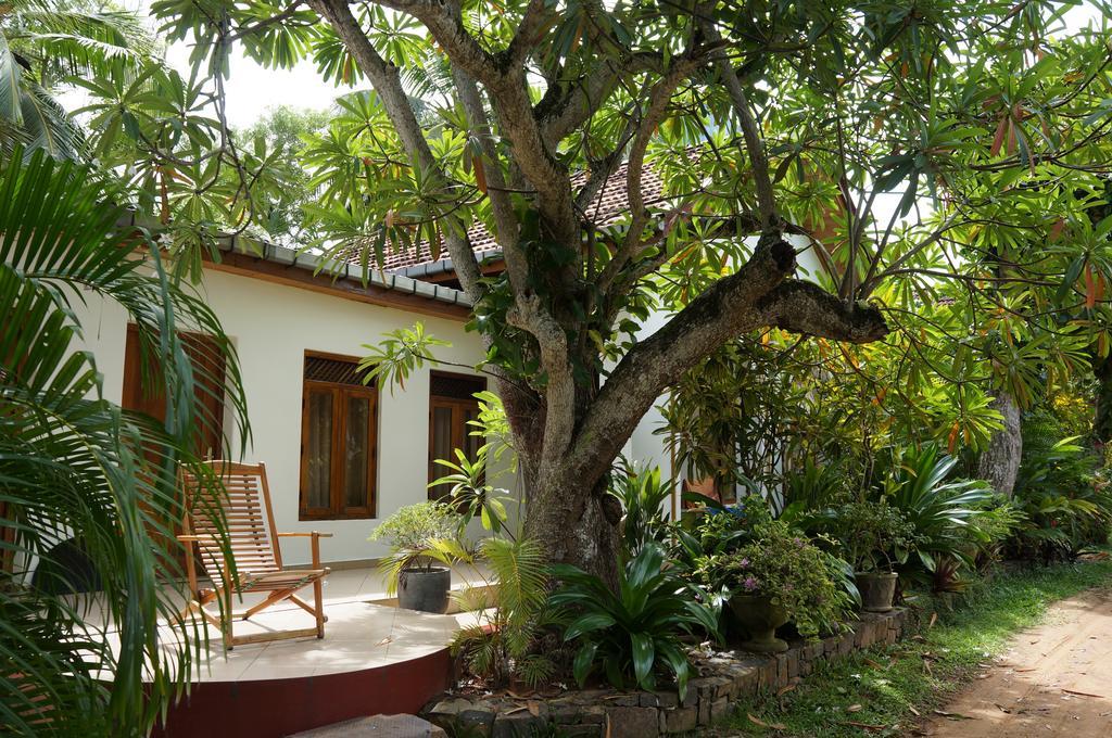Tandem Guesthouse Хиккадува Экстерьер фото