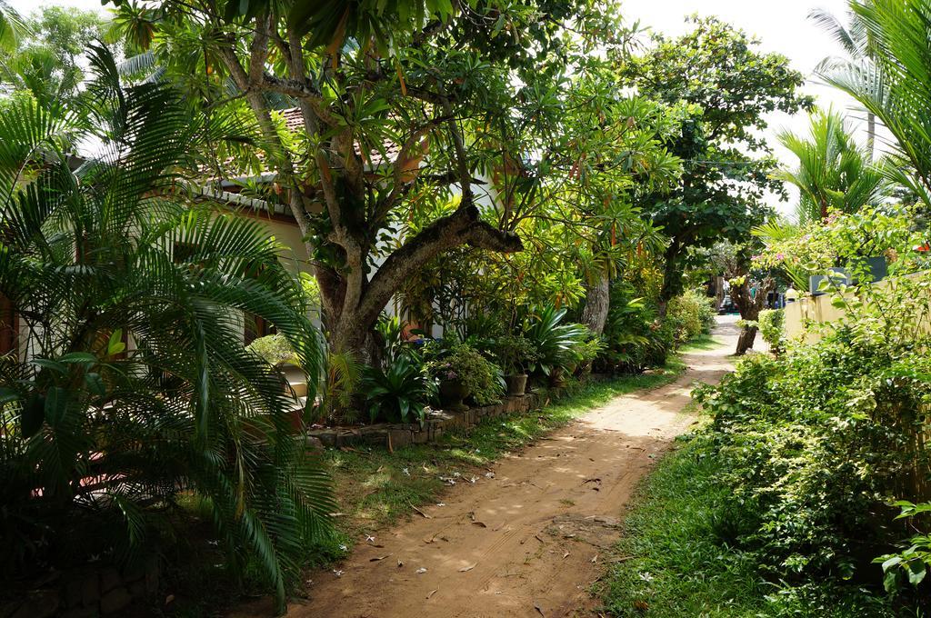 Tandem Guesthouse Хиккадува Экстерьер фото