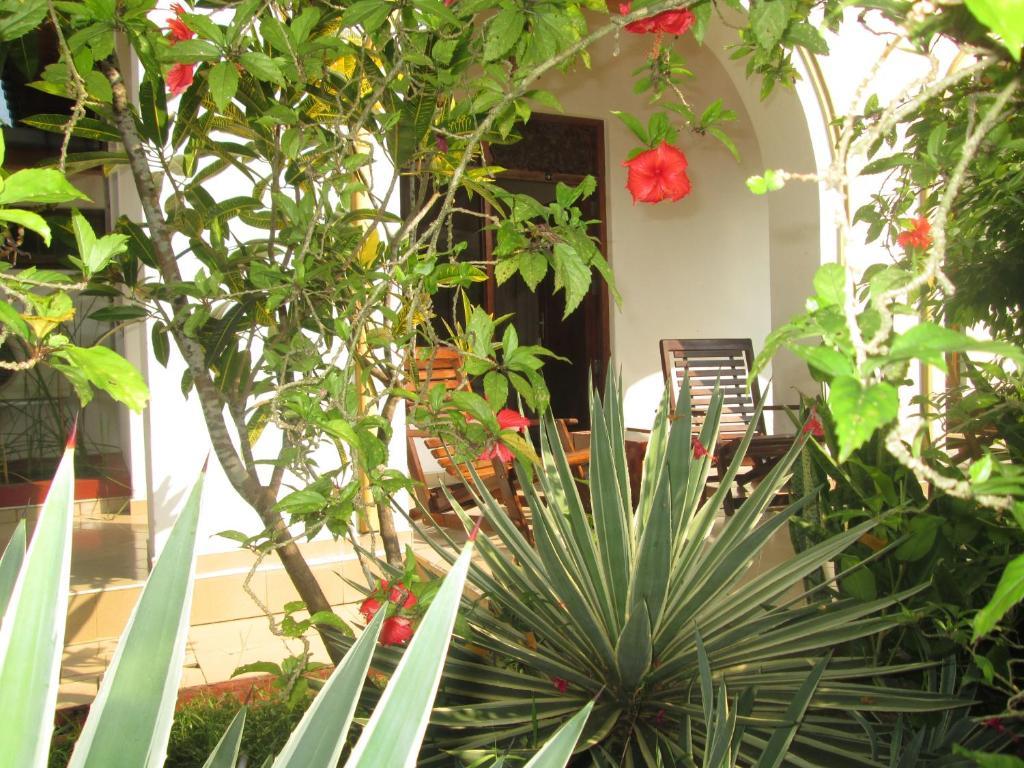 Tandem Guesthouse Хиккадува Экстерьер фото